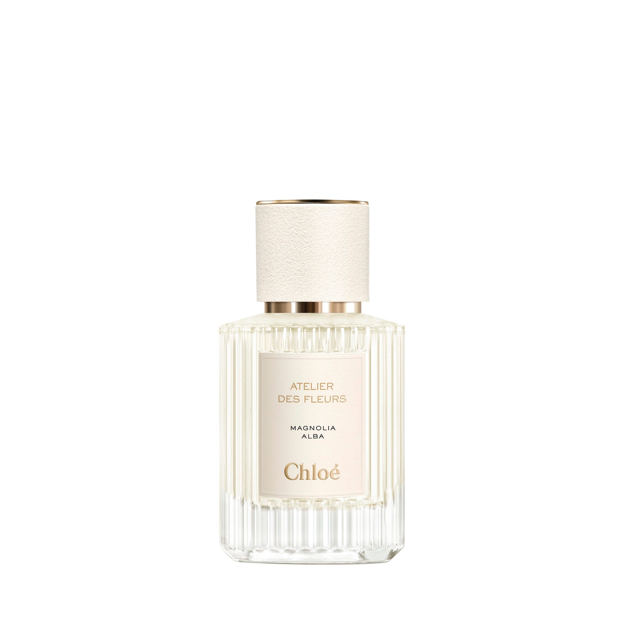 Chloé Atelier des Fleurs Magnolia Alba Schiphol | Atelier Des Fleurs Magnolia Alba